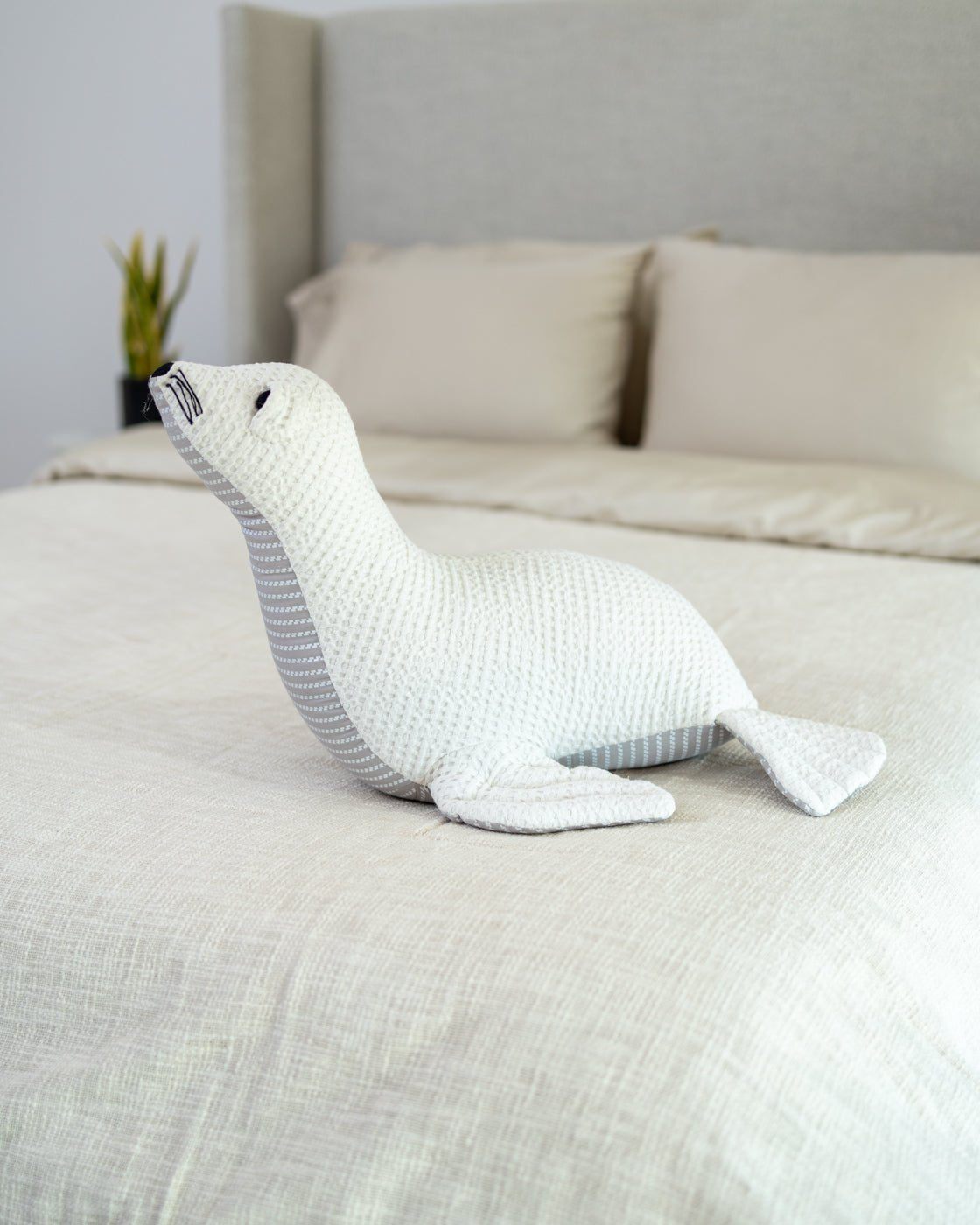 Graphic Organic Cotton Throw Pillow